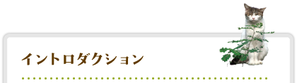 イントロダクション
