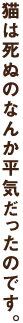 ǭ�ϻ�̤Τʤ�ʿ�����ä��ΤǤ���