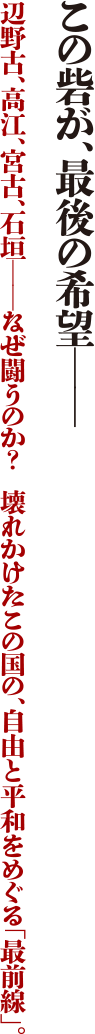 この砦が、最後の希望－　辺野古、高江、宮古、石垣－なぜ闘うのか？壊れかけたこの国の、自由と平和をめぐる「最前線」。