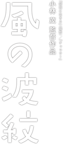 風の波紋