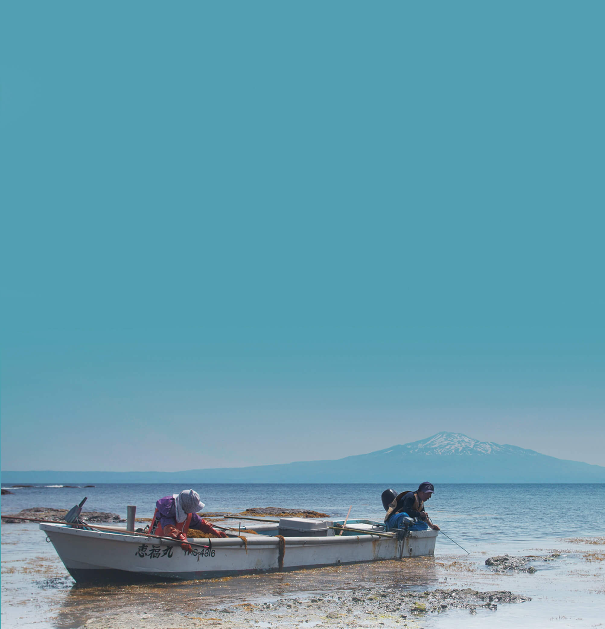 映画『島にて』