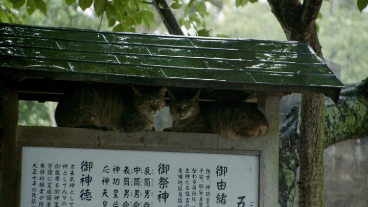 おかえり ただいま