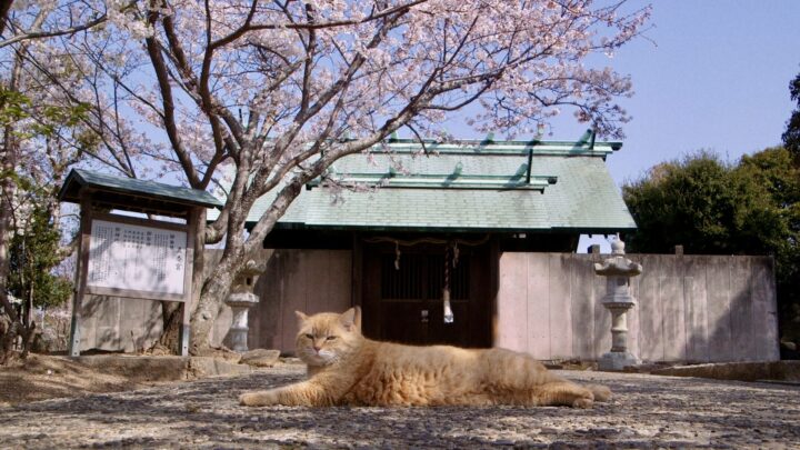 おかえり ただいま